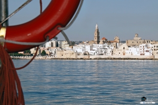 Monopoli